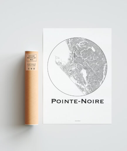 affiche pointe noire