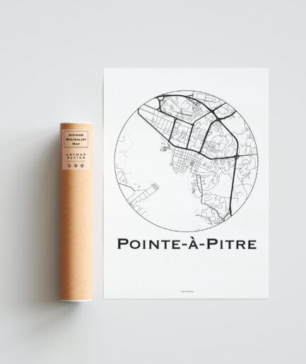 affiche pointe a pitre